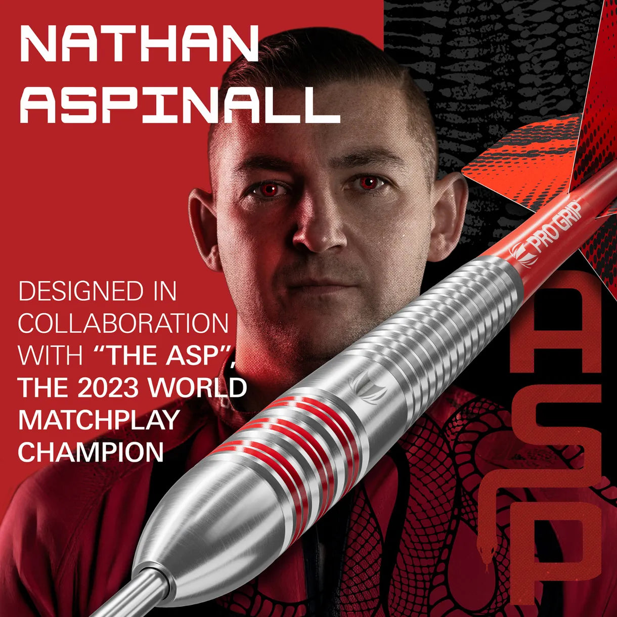 Target Nathan Aspinall The Asp Brass Steel Tip Darts 22g