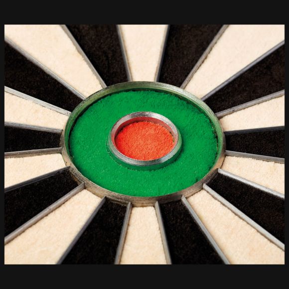 Winmau Champions Choice Blade Dual Core Dartboard
