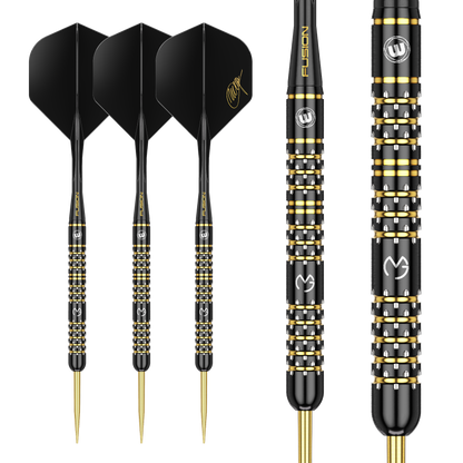 Amazon.com : WINMAU Darts Set Michael Van Gerwen MvG
